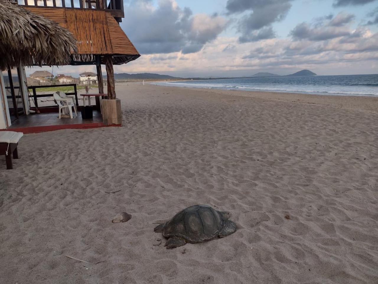 Cabanas Alta Mar Guayabas 外观 照片